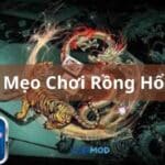 meo choi rong ho