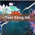 tool rong ho
