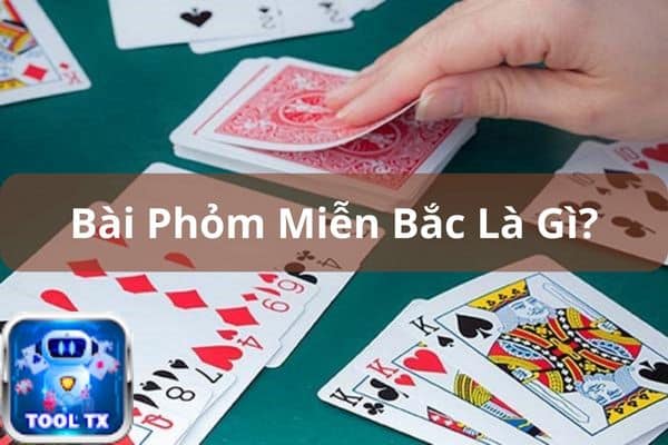 bai phong mien bac