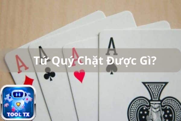 tu quy chat duoc gi